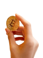 Crypto Icon